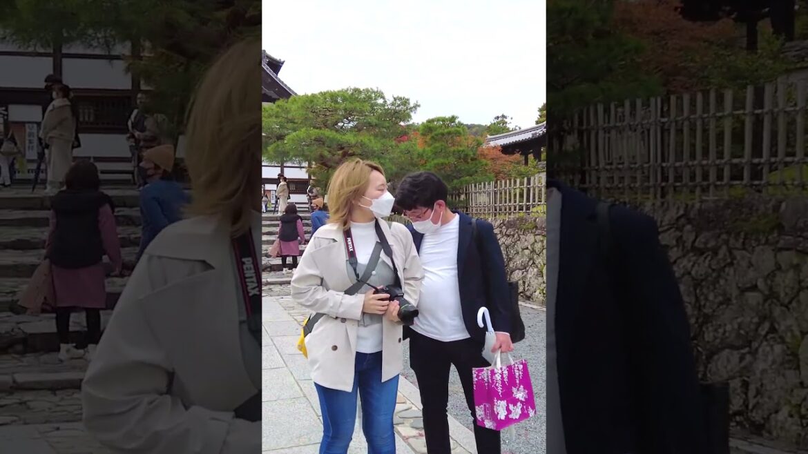 Arashiyama Walking Tour Japan Arashiyama Walking Tour Japan