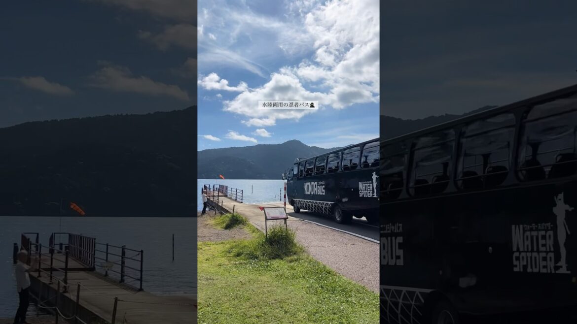 【忍者バス】箱根旅行!箱根園からの箱根登山ケーブルカー vlog神奈川 / Kanagawa Hakone Travel #short 【忍者バス】箱根旅行!箱根園からの箱根登山ケーブルカー vlog神奈川 / Kanagawa Hakone Travel #short