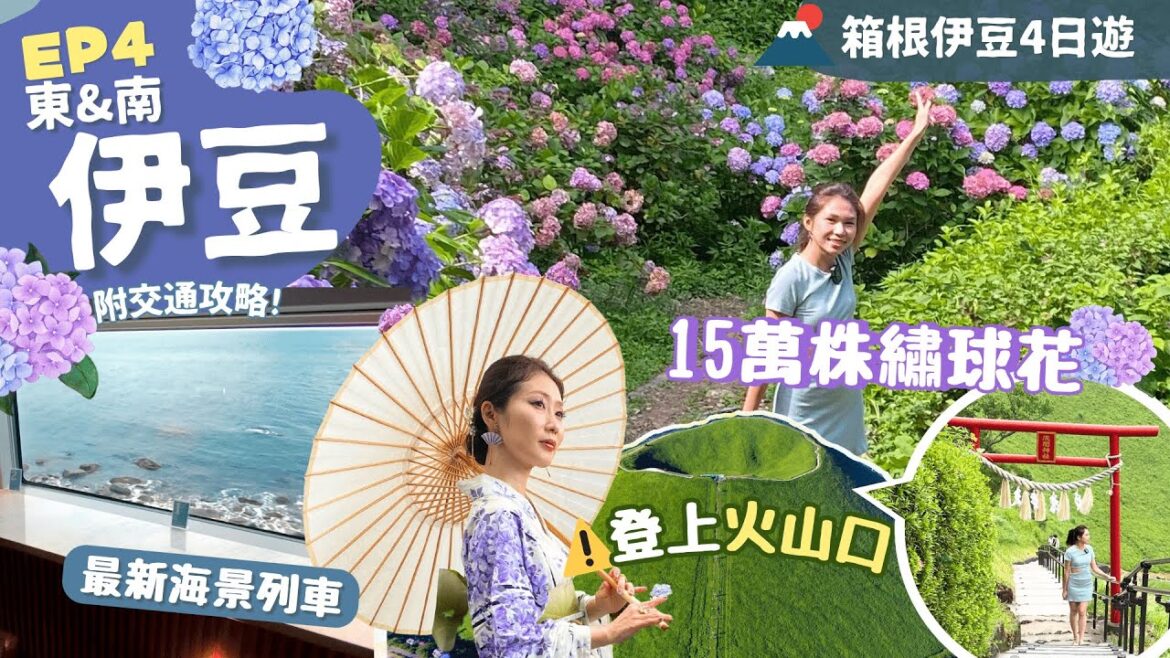 【東京近郊】EP4伊豆：￼乘海景觀光列車吃和牛🌊伊豆高原大室山火山口走一圈＼下田市新名所📸寢姿山打卡茶室／下田賞花．橫濱高達．羽田機場新設施｜附詳細交通｜南伊豆｜靜岡自由行｜一人旅｜箱根伊豆4日遊