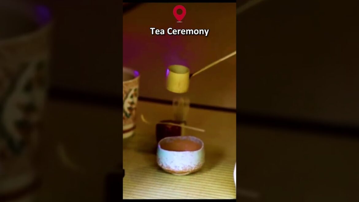 Unforgettable Moments: A Day in Kyoto Japan