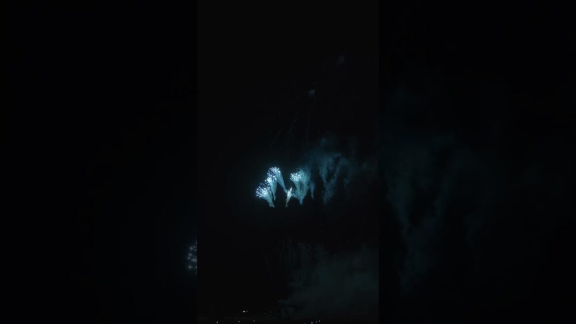 大曲 野村花火工業 創造花火 Winner’s Creation Fireworks | Omagari All Japan Fireworks Competition 2023 大曲 野村花火工業 創造花火 Winner's Creation Fireworks | Omagari All Japan Fireworks Competition 2023