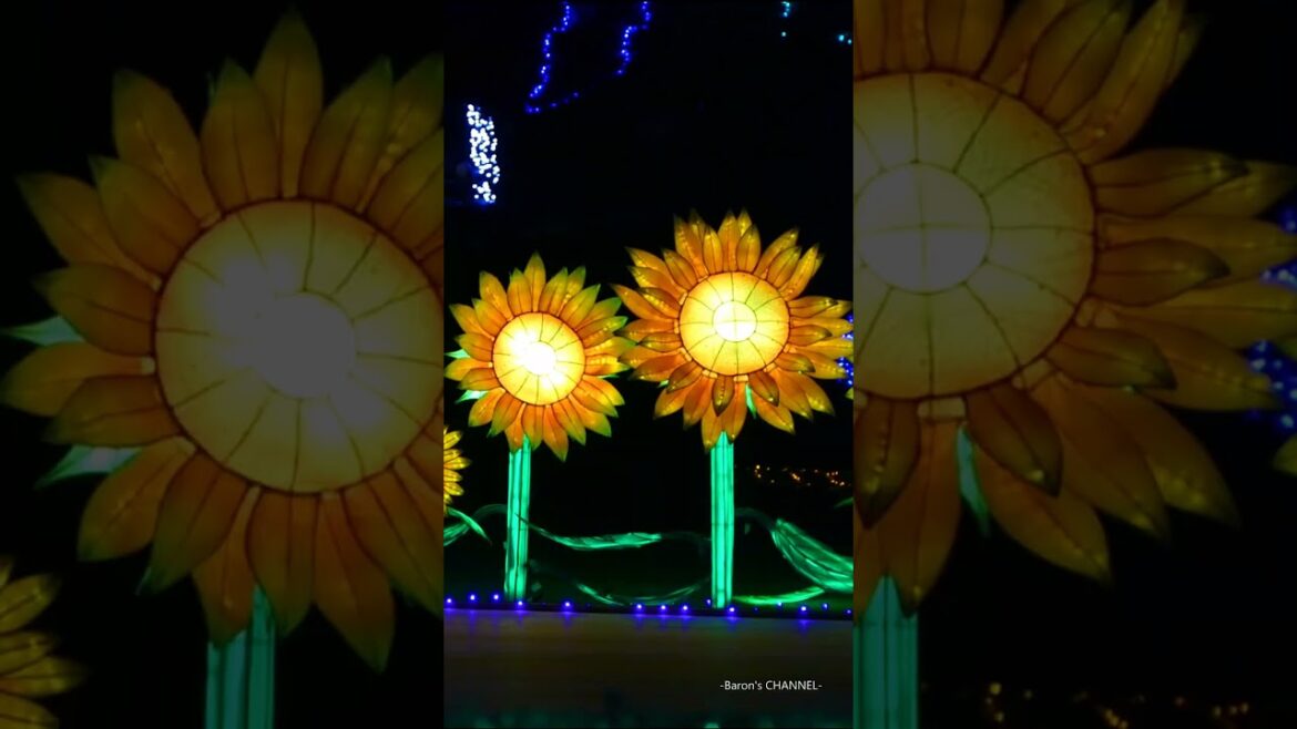 東京ドイツ村 ウインターイルミネーション 2023-2024 #shorts