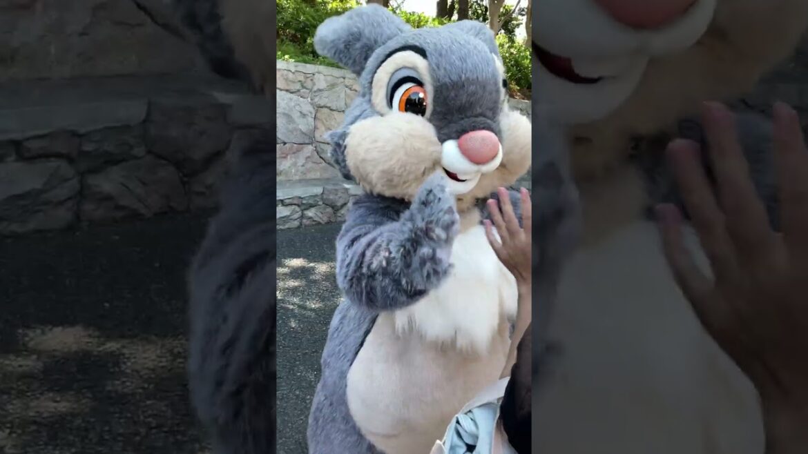 【ディズニーランド】突然現れた! #Shorts 【ディズニーランド】突然現れた! #Shorts