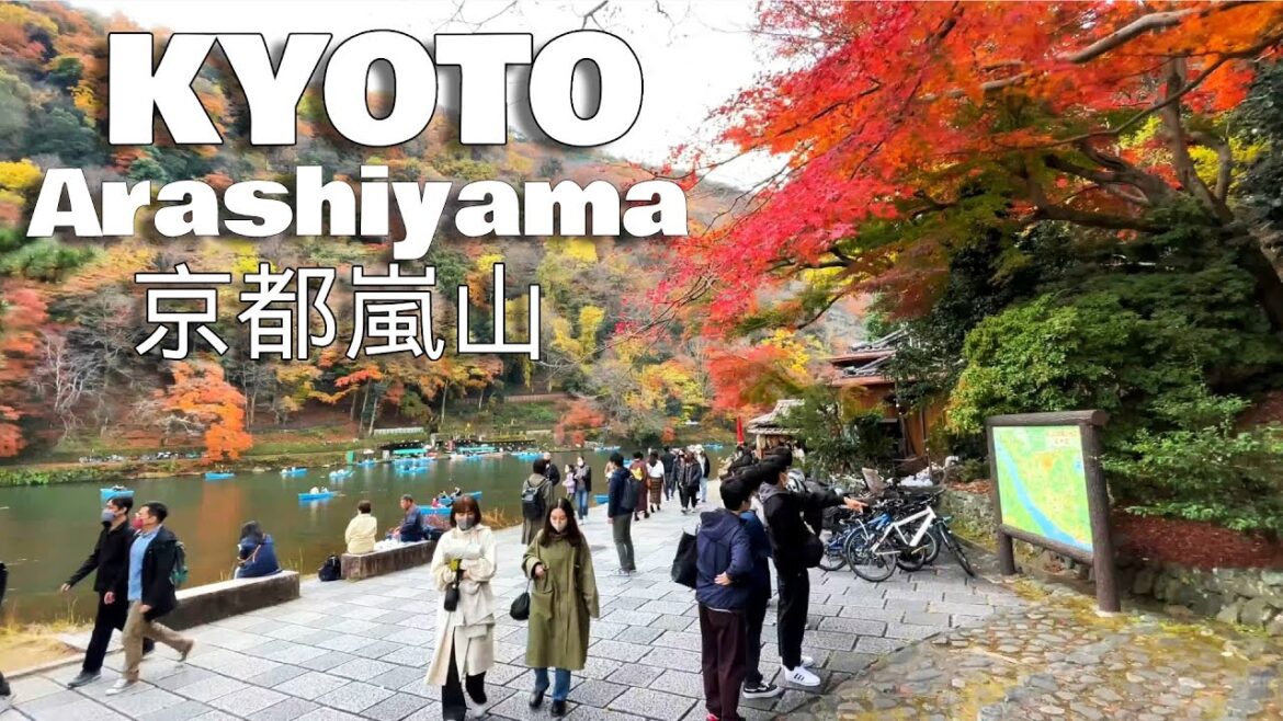 4K Kyoto Arashiyama Autumn 🍁🍁🍁 Walking Travel 2023 - 京都嵐山散歩 - 紅葉色付き訪日客に人気の京都嵐山を歩く Kyoto Travel