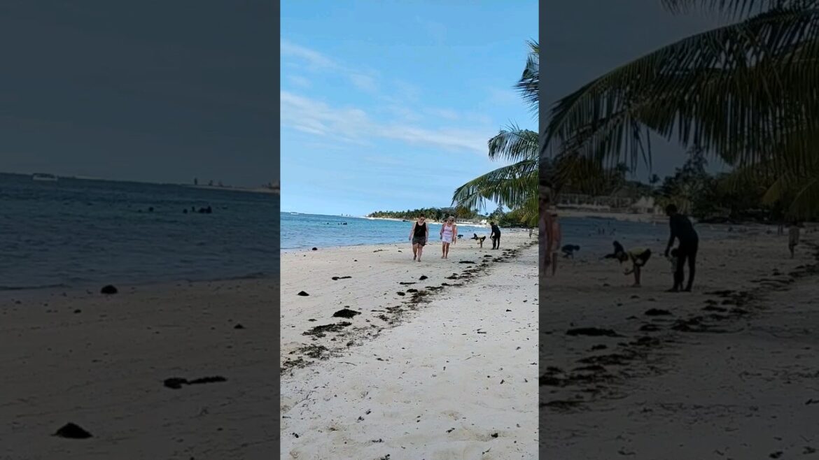 Belle marre beach | travel  | Mauritius #shorts #mauritius Belle marre beach | travel  | Mauritius #shorts #mauritius