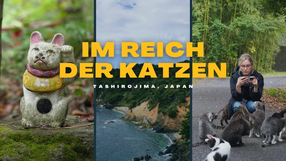 Tashirojima – Die Katzeninsel Japans Tashirojima - Die Katzeninsel Japans