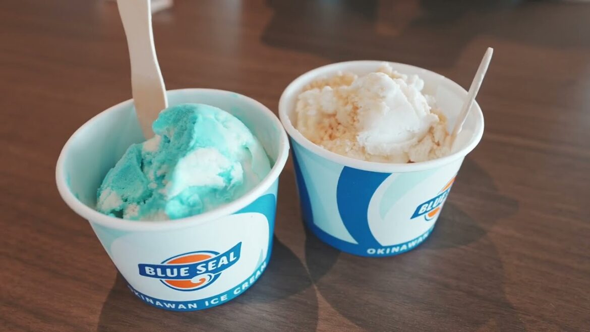 Vlog#7 - Birthday Trip to Okinawa Day 3 | Sony ZV-E1| 4K