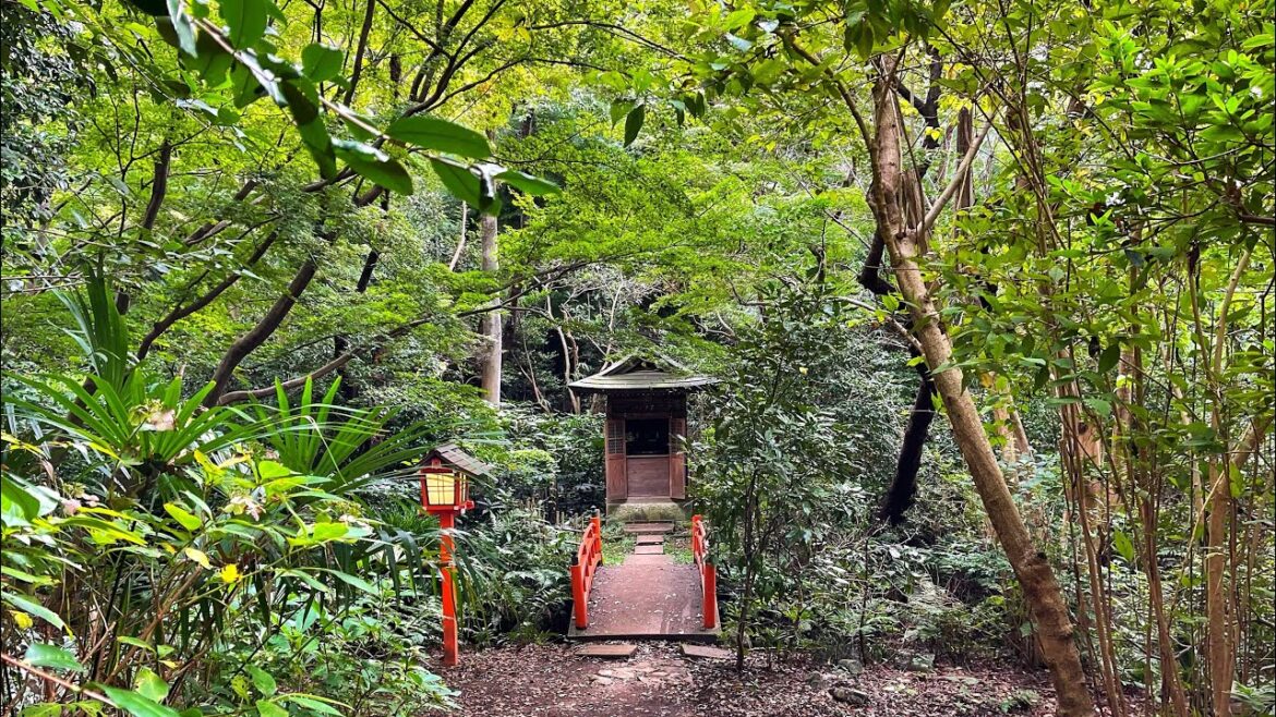 Live Tokyo Morning Walk (Pixel 6 Daytime Test)