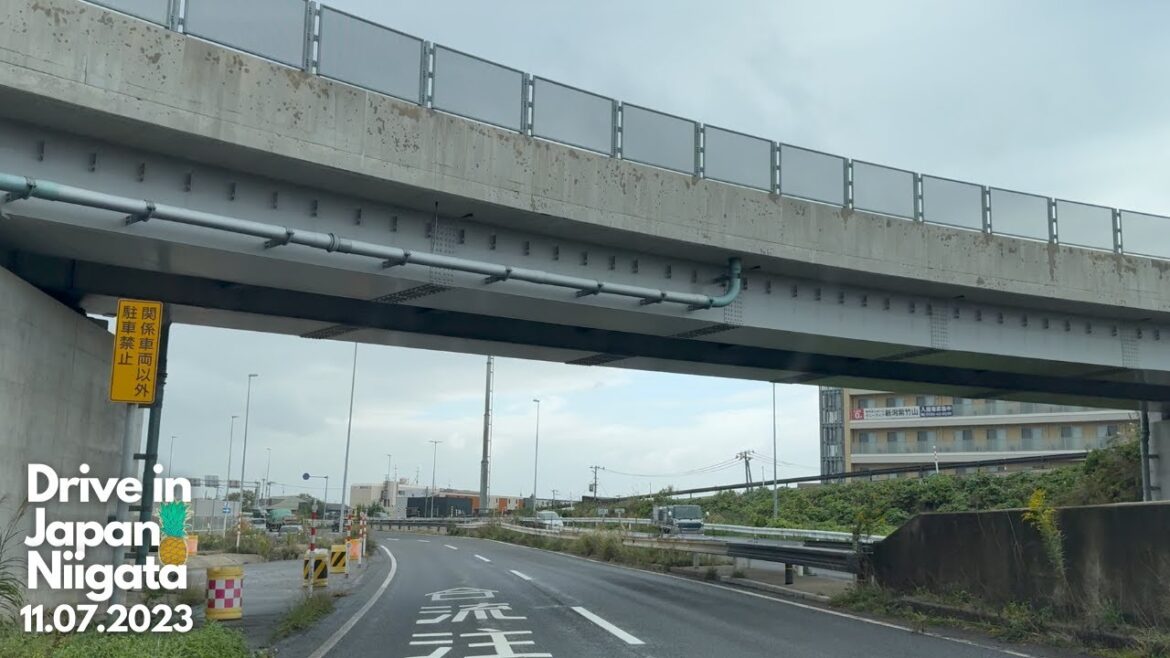日本ドライブ - 新潟 - 11月07日2023年 | Drive in Japan - Niigata - 11.07.2023