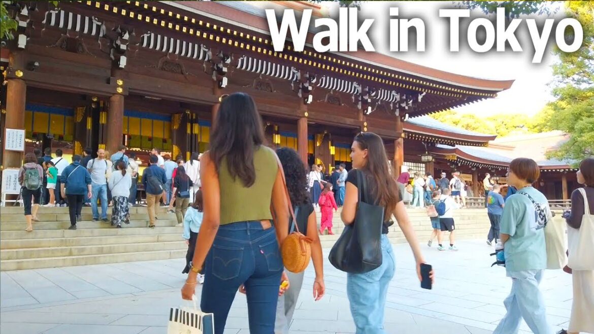 Tokyo walking tour - Meiji Jingu Shrine. Before the Autumn Grand Festival♪ (Oct. 2023)