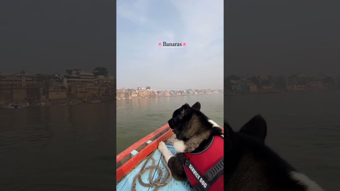 Mahadev ki nagri #banaras #ghat #kashi Mahadev ki nagri #banaras #ghat #kashi