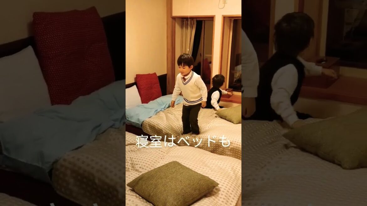 【新潟観光】#vlog #旅行  #ドライブ #shorts #おすすめ