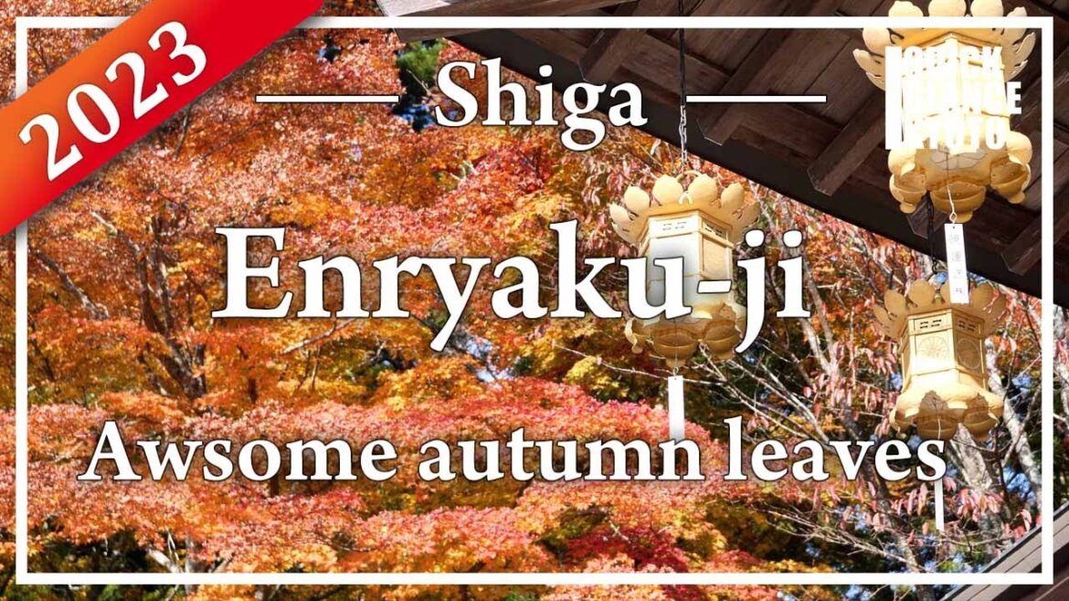 Enjoy the gorgeous autumn leaves in Enryakuji.  1st spot in Kyoto you can enjoy autumn. 11.04, 2023