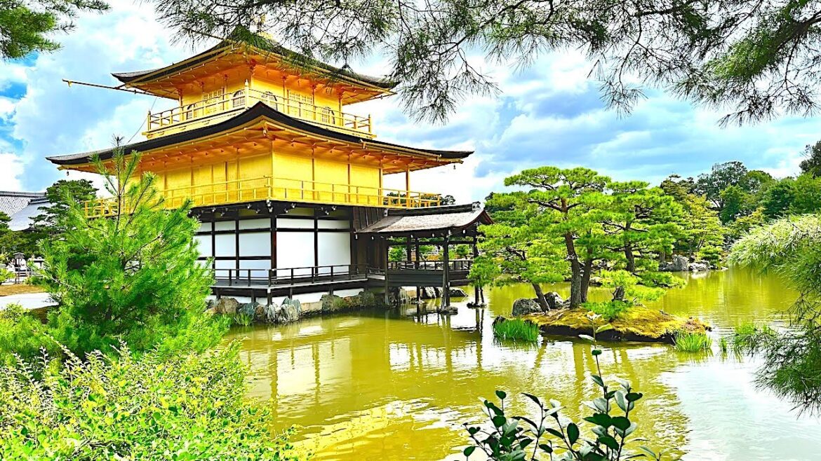 Trip to Fushimi Inari Shrine - Kifune Shrine - Golden Pavilion & Kyoto Station Japan 8 Sep 2023 Day6
