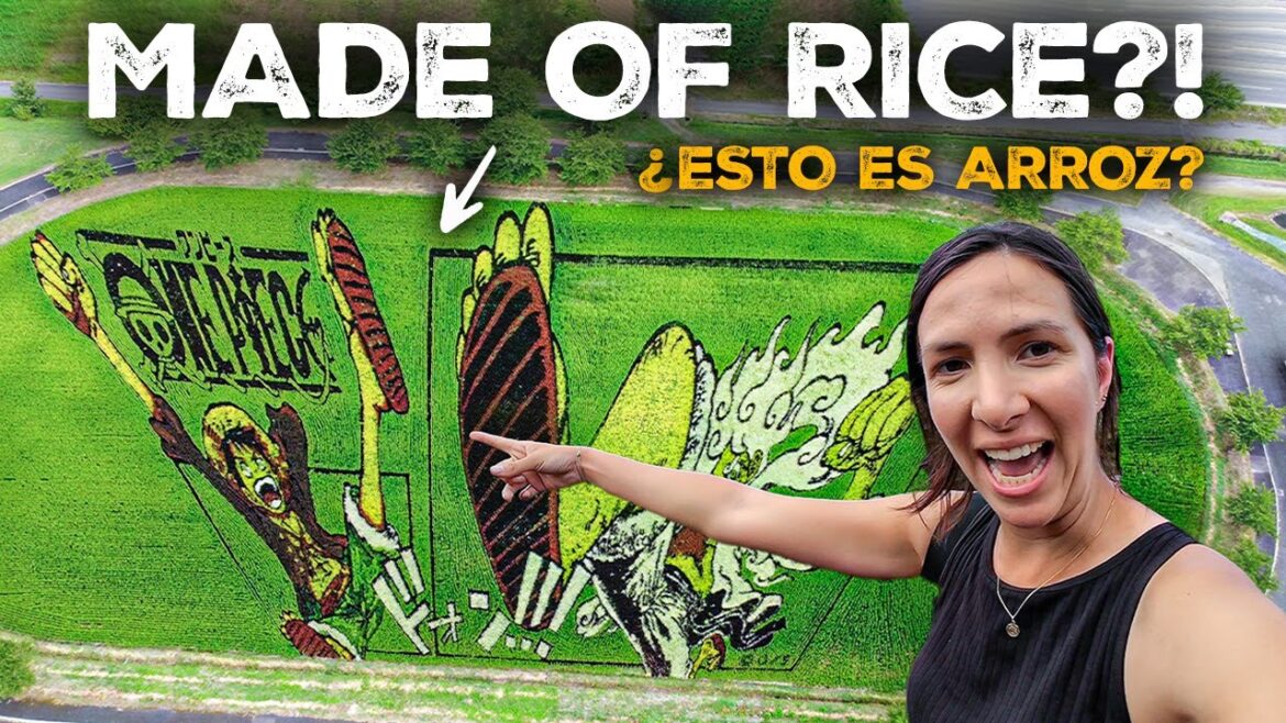 This country makes art with rice | Across Japan by motorcycle |S1-E20| This country makes art with rice | Across Japan by motorcycle |S1-E20|