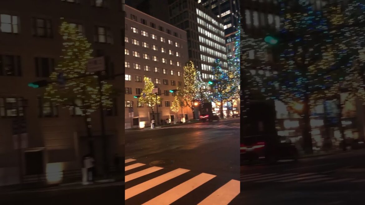 【OSAKA】Good Night View - Midosuji illumination