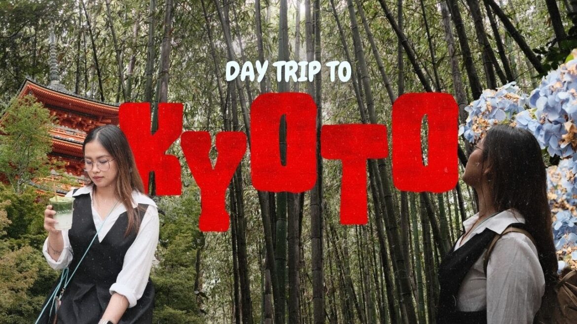 KYOTO VLOG | unboxing my new camera & trying the famous gokago tea KYOTO VLOG | unboxing my new camera & trying the famous gokago tea