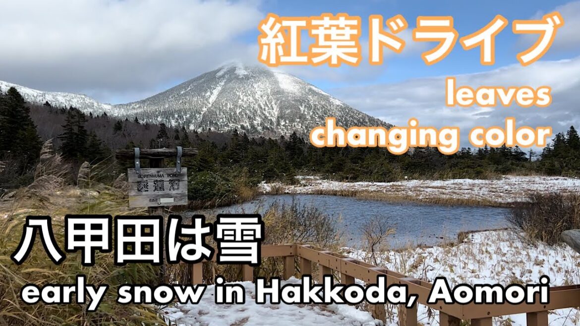 青森36 紅葉ドライブ 八甲田周辺の見どころを巡る 蔦温泉、蔦沼、睡蓮沼(八甲田の山々)、地獄沼、酸ヶ湯温泉、城ケ倉大橋、八甲田ロープウェー 青森36 紅葉ドライブ 八甲田周辺の見どころを巡る 蔦温泉、蔦沼、睡蓮沼(八甲田の山々)、地獄沼、酸ヶ湯温泉、城ケ倉大橋、八甲田ロープウェー