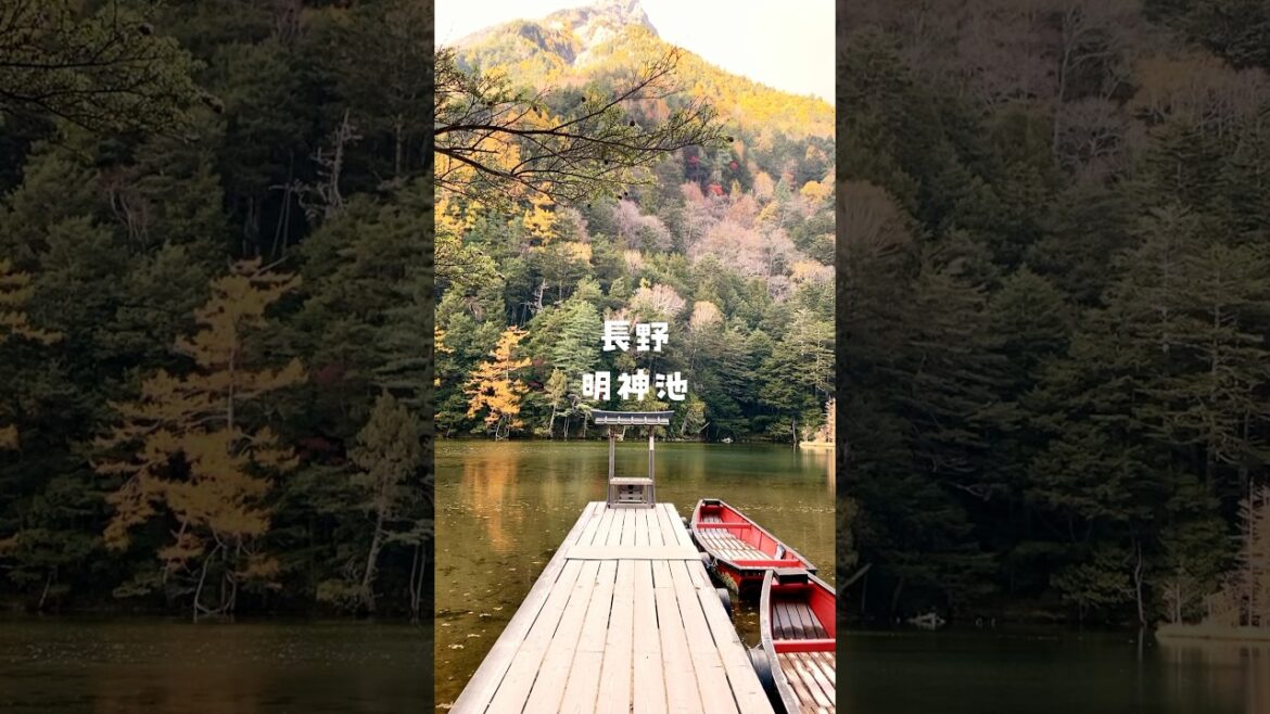 【長野 ⸝ 観光】神秘的な明神池の綺麗さが幻想的過ぎた件について #shorts 【長野 ⸝ 観光】神秘的な明神池の綺麗さが幻想的過ぎた件について #shorts