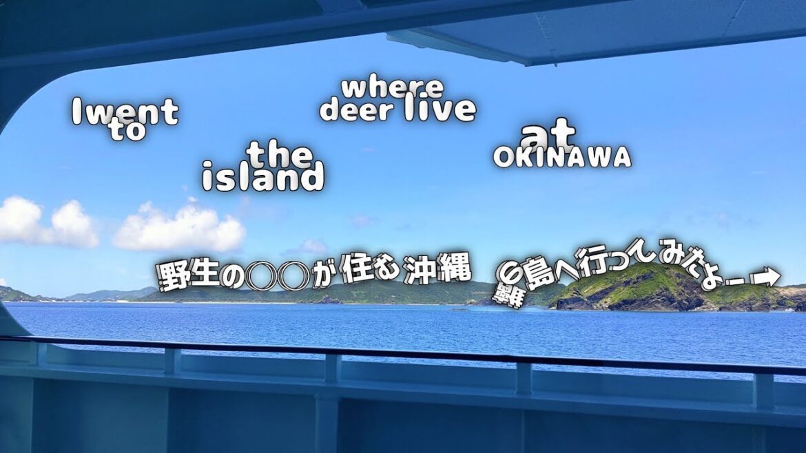 沖縄旅行：とりあえず島！（日帰りフェリーで探検気分）Okinawa trip：Island first！(Exploration mood on a day trip)