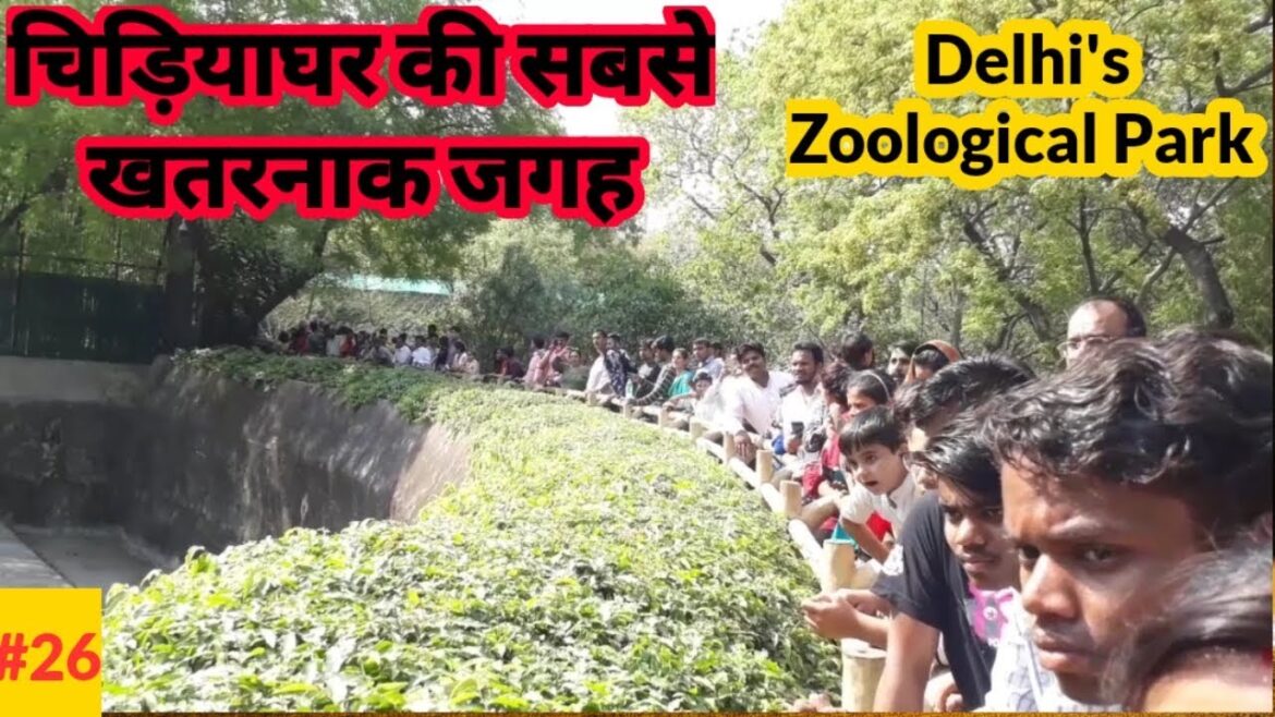 Delhi Zoo | Rahul Pandey Vlogs