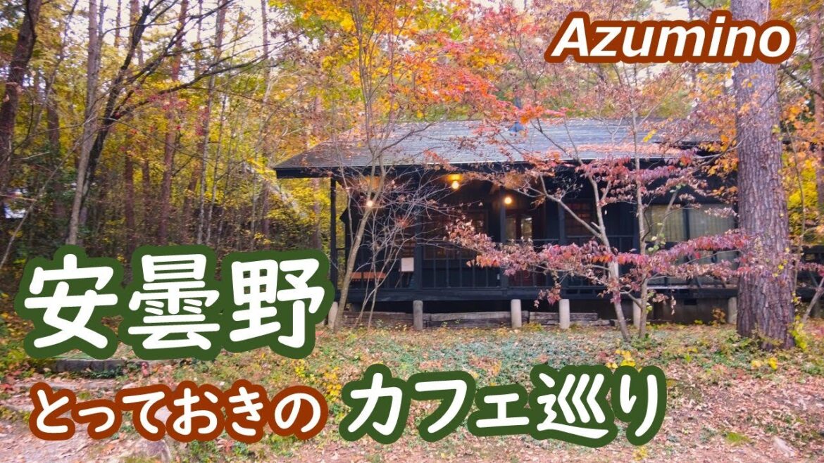 安曇野を訪れ、とっておきのカフェとクラフトショップを巡ります Azumino Nagano Japan|シニア・長野移住ライフ|田舎暮らし vlog 116 安曇野を訪れ、とっておきのカフェとクラフトショップを巡ります Azumino Nagano Japan|シニア・長野移住ライフ|田舎暮らし vlog 116