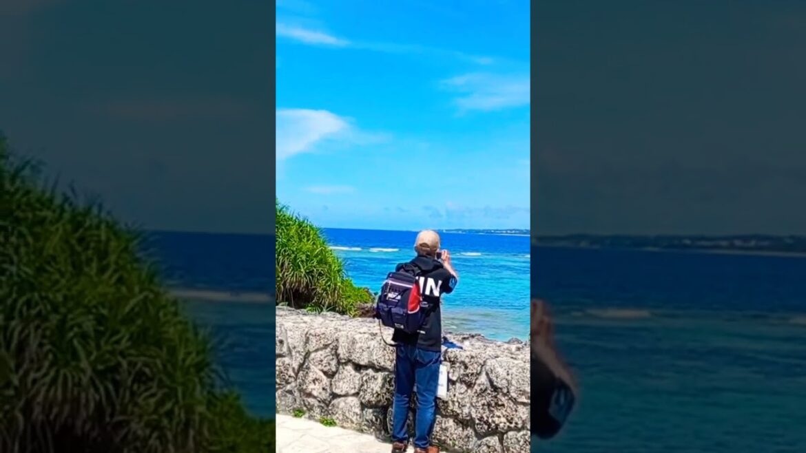 churaumi aquarium okinawa video 02 #churaumiaquarium #okinawa #aquarium