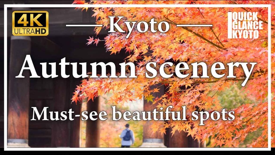 Autumn foliage in kyoto🍁 See the beautifully colored autumn leaves of the ancient capital of Kyoto. Autumn foliage in kyoto🍁 See the beautifully colored autumn leaves of the ancient capital of Kyoto.