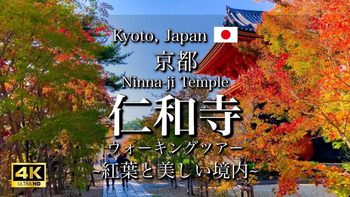 Kyoto Japan "Ninna-ji Temple" Beautiful Autumn Foliage | World Heritage Sites in Japan [4K]