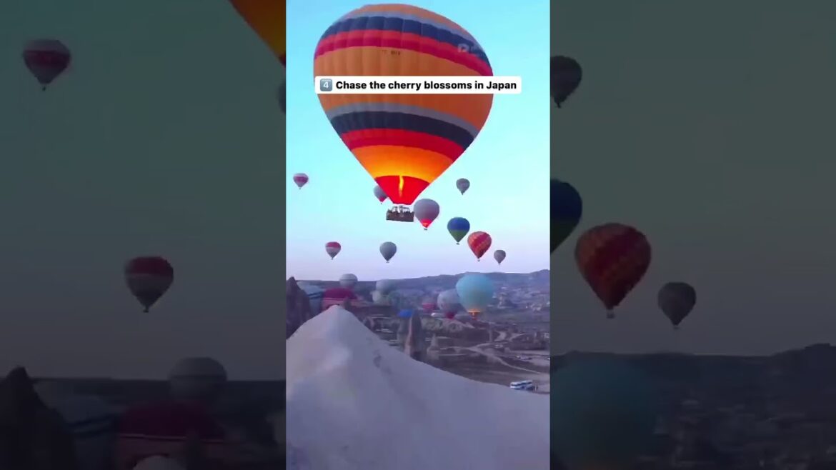 Share this with your travel buddy 🌏✈️