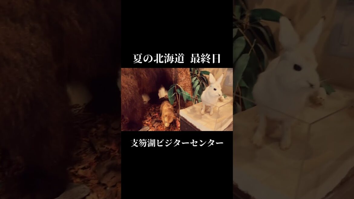 夏の北海道⑪　最終回