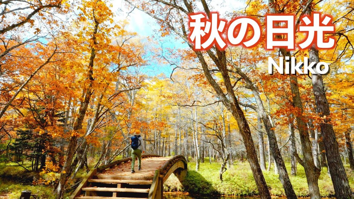 秋の日光を歩いてみたら想像以上に綺麗だった!!｜奥日光｜いろは坂｜ドライブ｜田舎暮らし｜栃木県｜4K