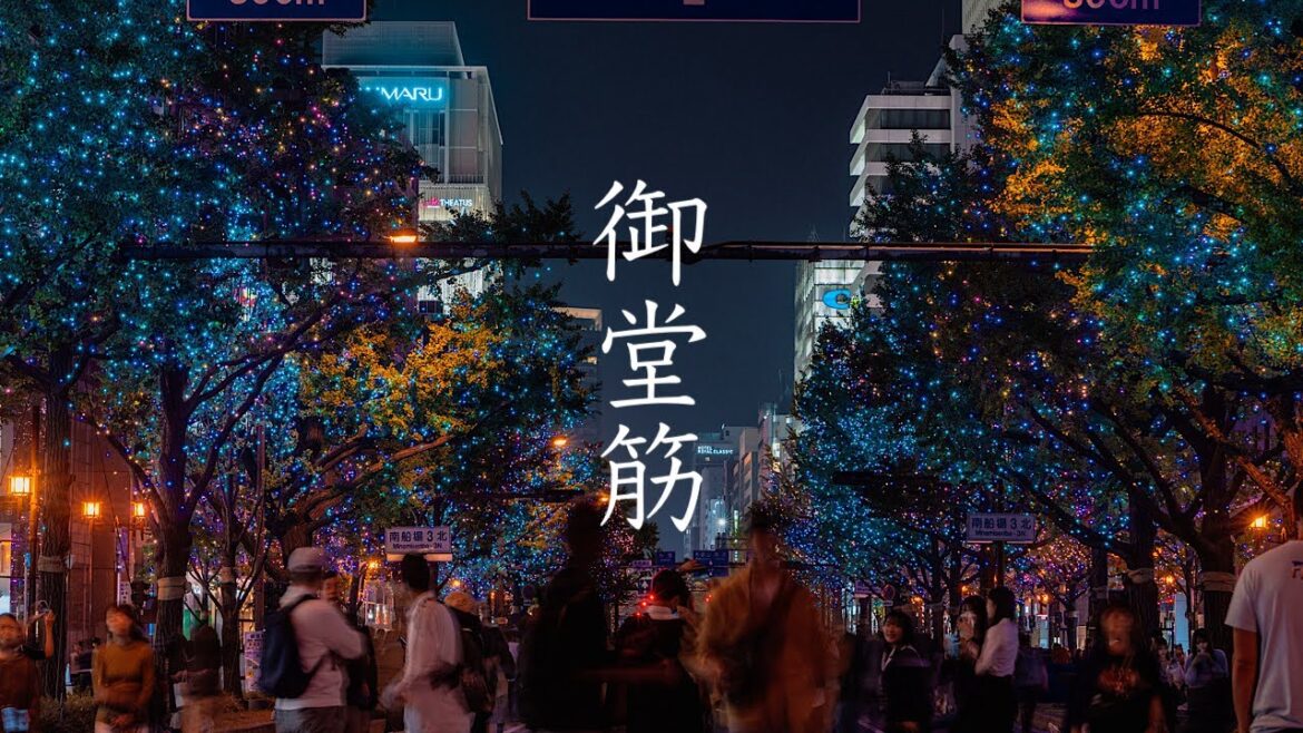 御堂筋イルミネーション 2023 Osaka Night Walk - Midosuji Illuminations 4K HDR Japan α7CⅡ