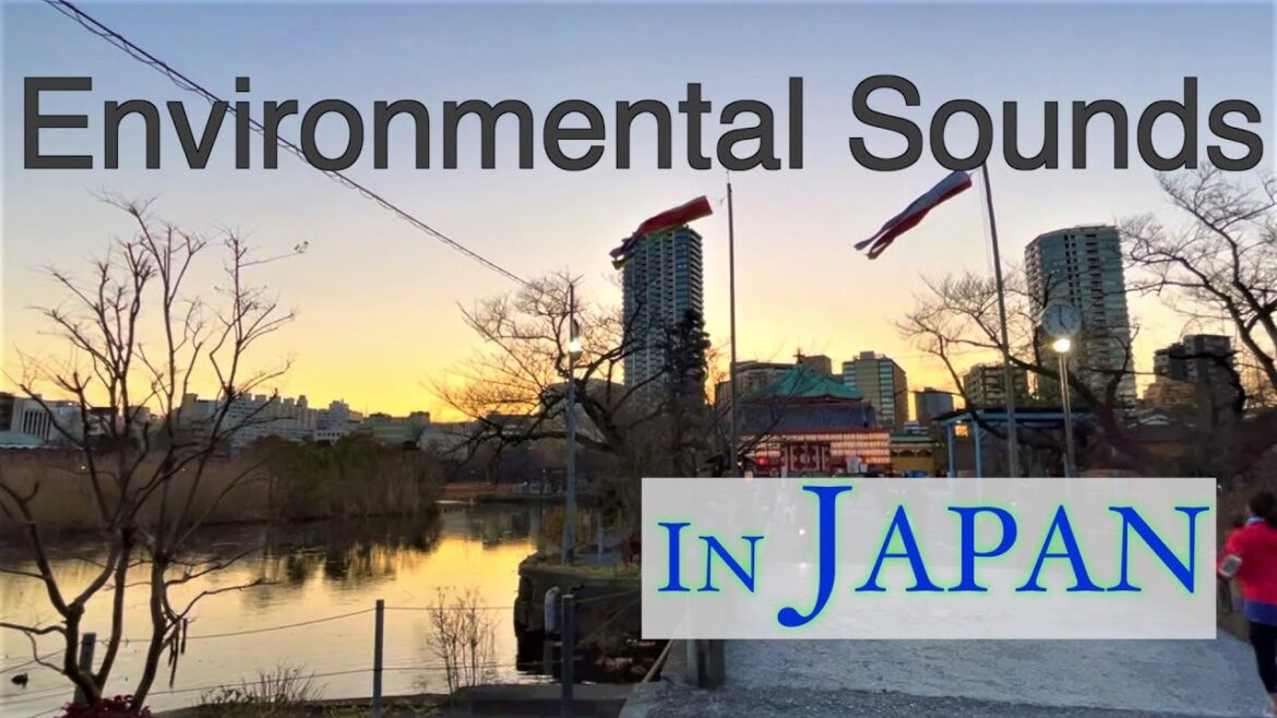 [Relaxing Binaural Ambient Sound] Everyday life in Japan | Shinobazu Pond in Ueno Park (上野恩賜公園の不忍池)