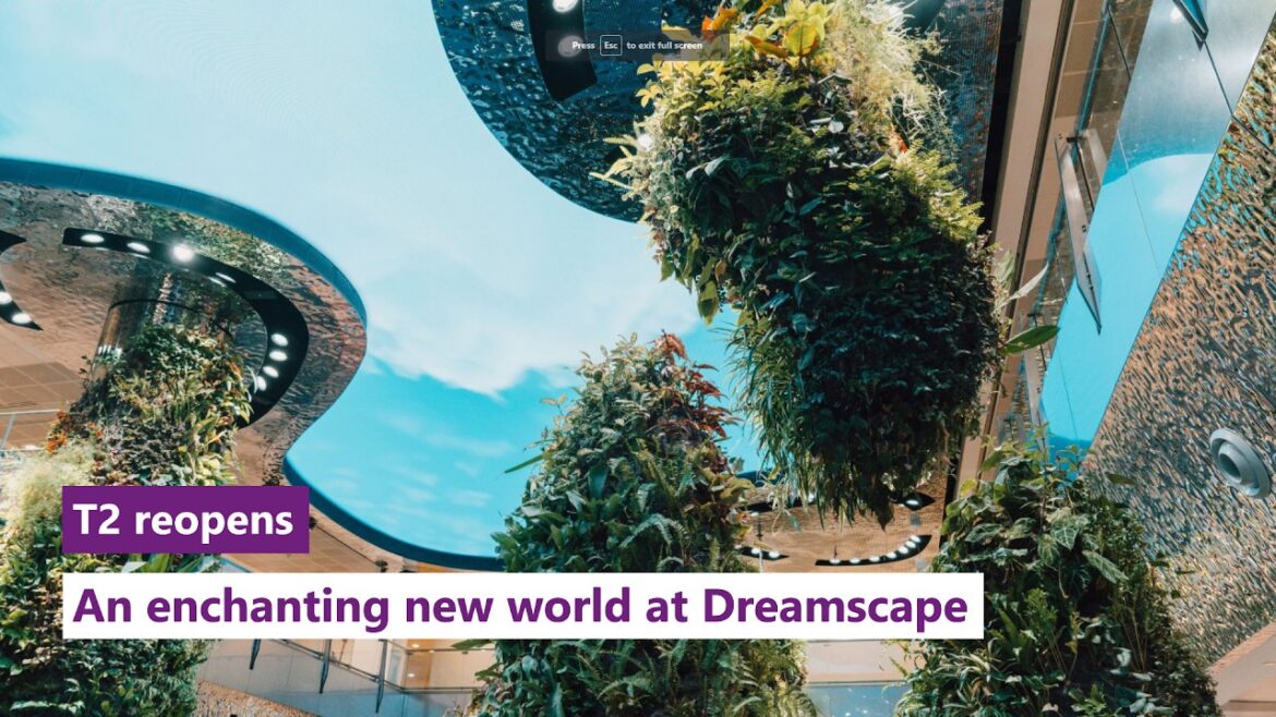 First Look: Dreamscape