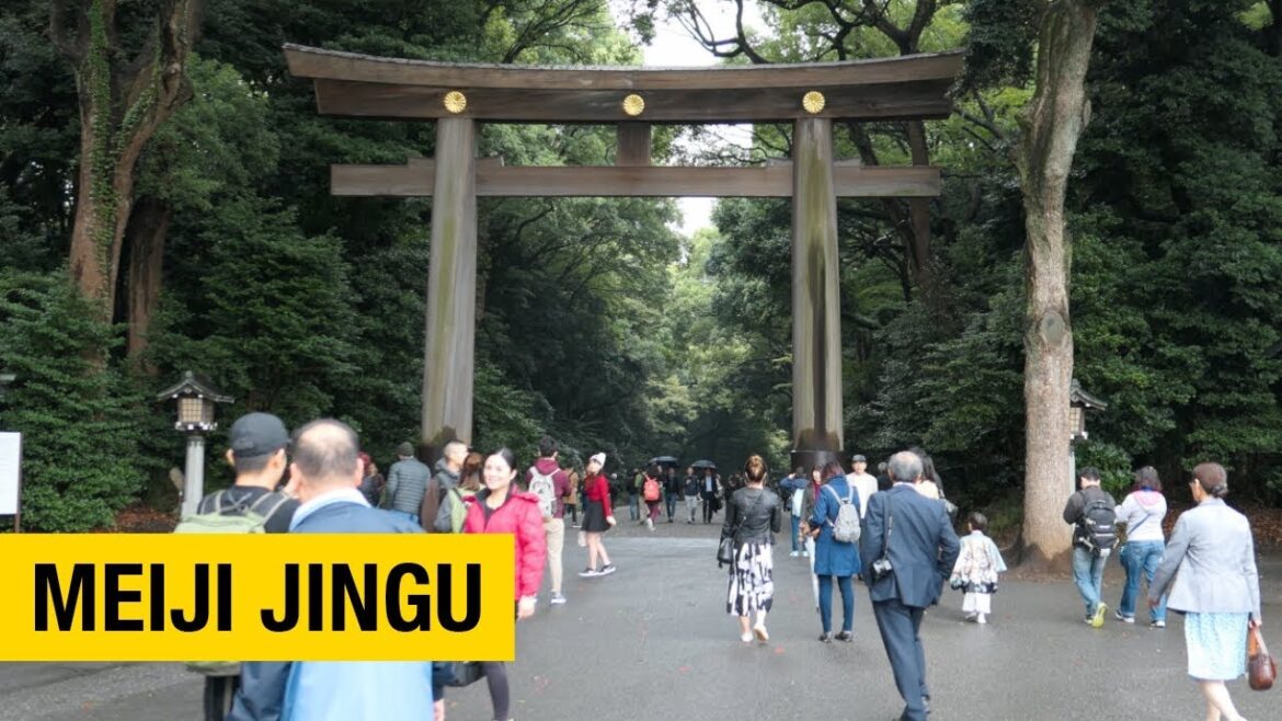Experience the Tranquility of Meiji Jingu: A Must-See for Any Tokyo Traveler Experience the Tranquility of Meiji Jingu: A Must-See for Any Tokyo Traveler