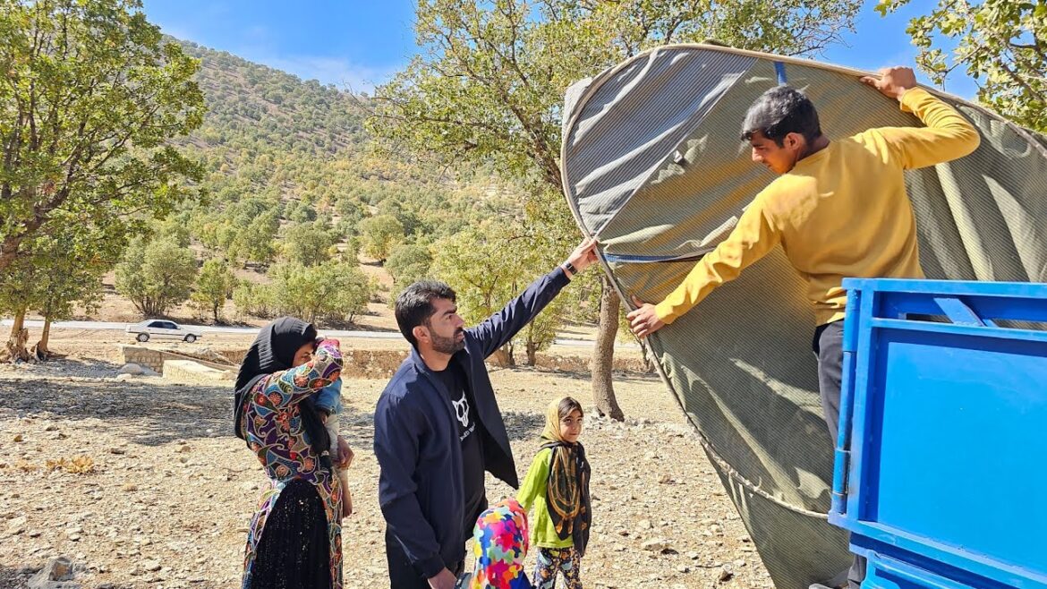 Deceived & Displaced: Zainab's Fight Against Land Fraud | A Nomad's Tale