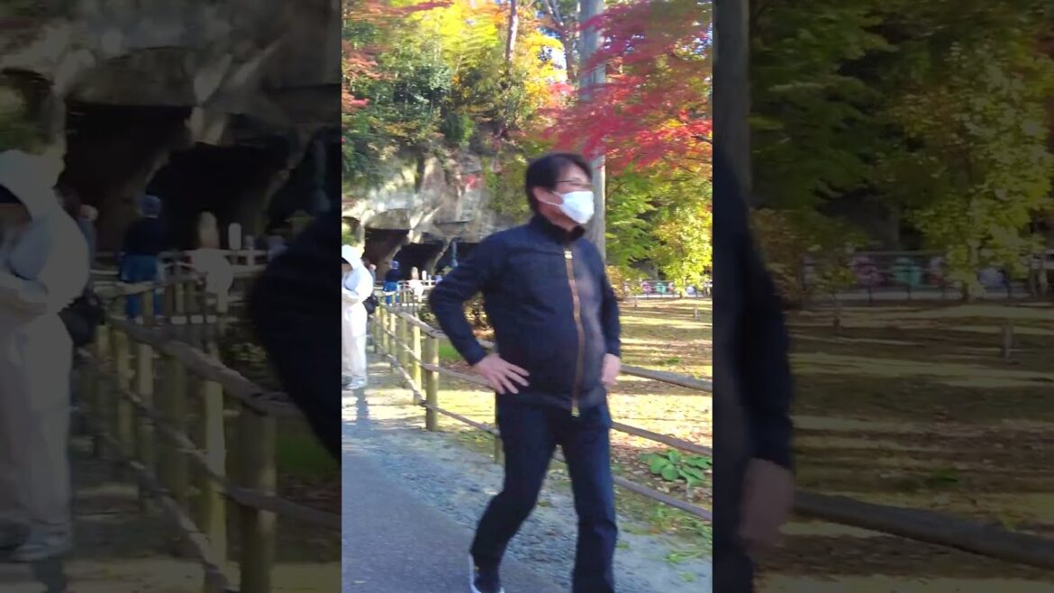 Exploring Beautiful Matsushima Bay Japan Exploring Beautiful Matsushima Bay Japan