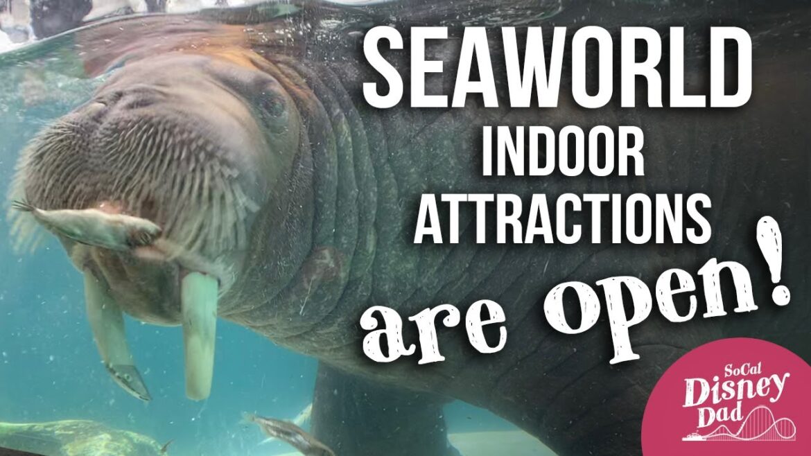 Indoor Attractions ARE OPEN at SeaWorld San Diego 2021 | March Vlog