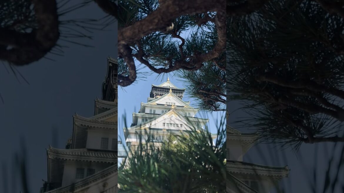 Osaka Castle #Japan #Shorts #Travel #Osaka