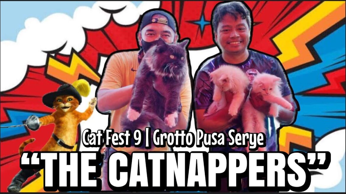 "THE CATNAPPERS" | Cat Fest 9 | Grotto Pusa Serye | Nov. 05, 2023