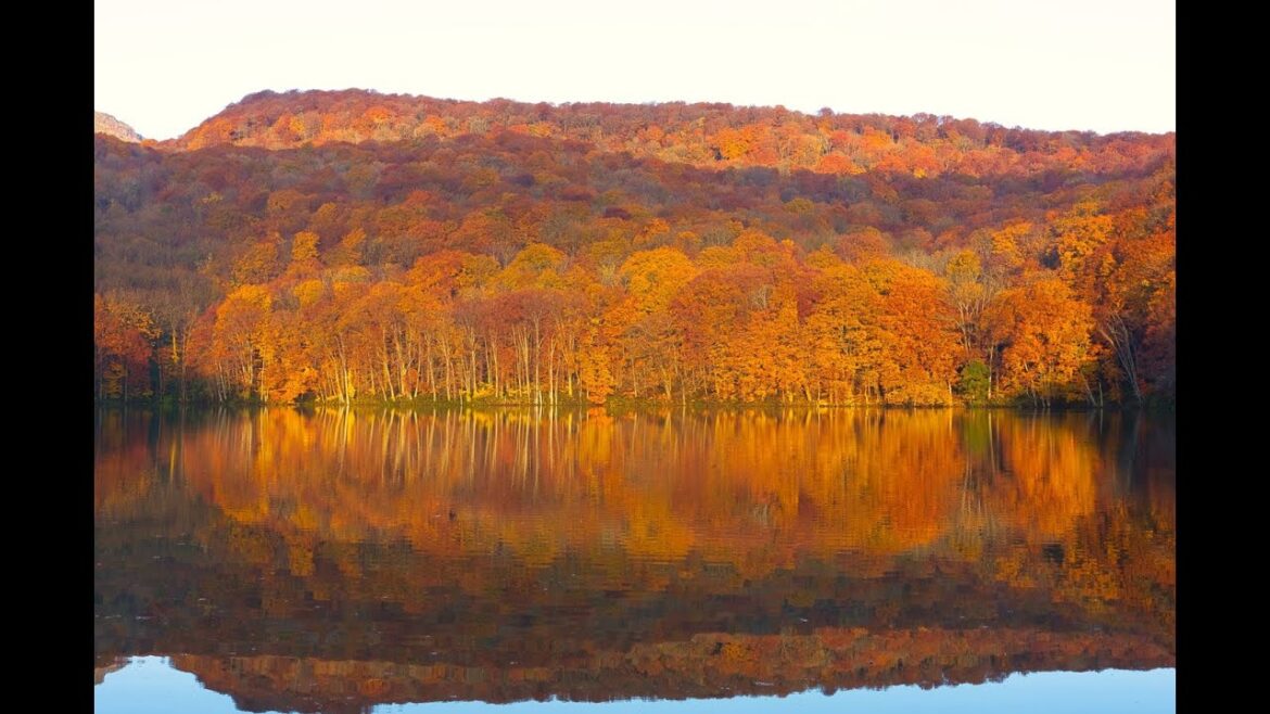 日本東北自駕賞楓 Part 1