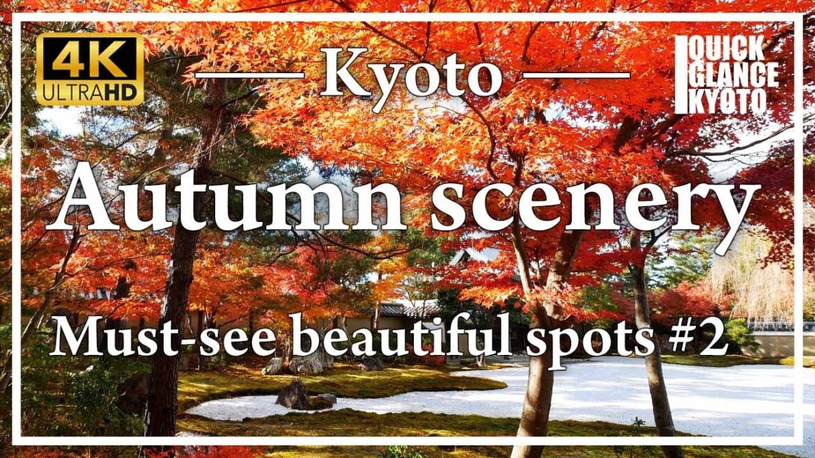 Autumn foliage in Kyoto#2. See the beautifully colored autumn leaves of the ancient capital of Kyoto