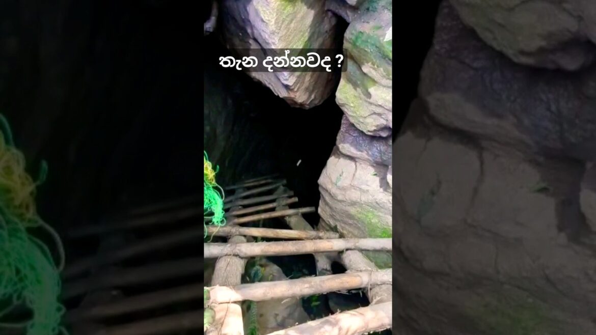 මෙහෙ ගිහින් නැති අය කව්ද?🥶😯 ඒක මරු😍 #travel #travelvlog #nature  #nagoz #shorts #viral