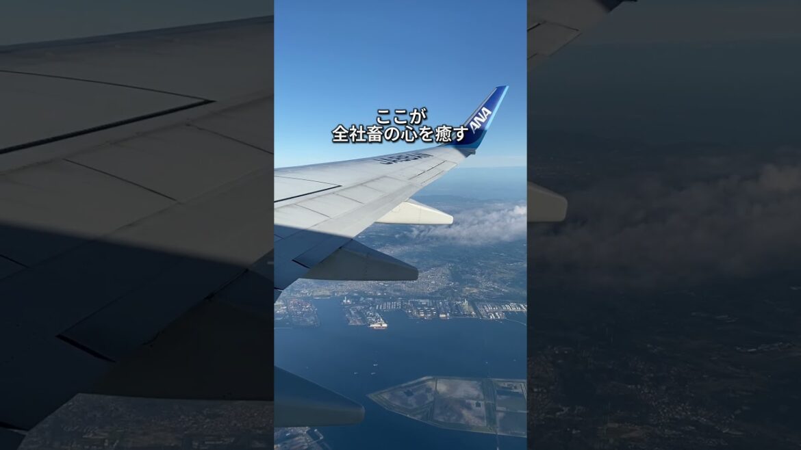 〖函館・カフェ〗知る人ぞ知る絶景カフェ 𐩢𐩺 #shorts