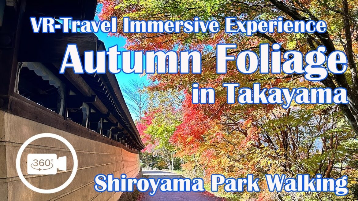 Exploring Takayama Autumn Leaves season "Shiroyama Park" Walking tour 紅葉 高山 城山公園