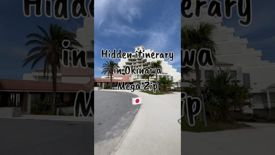 Hidden itinerary in Okinawa - Mega Zip #okinawa #itinerary #沖縄