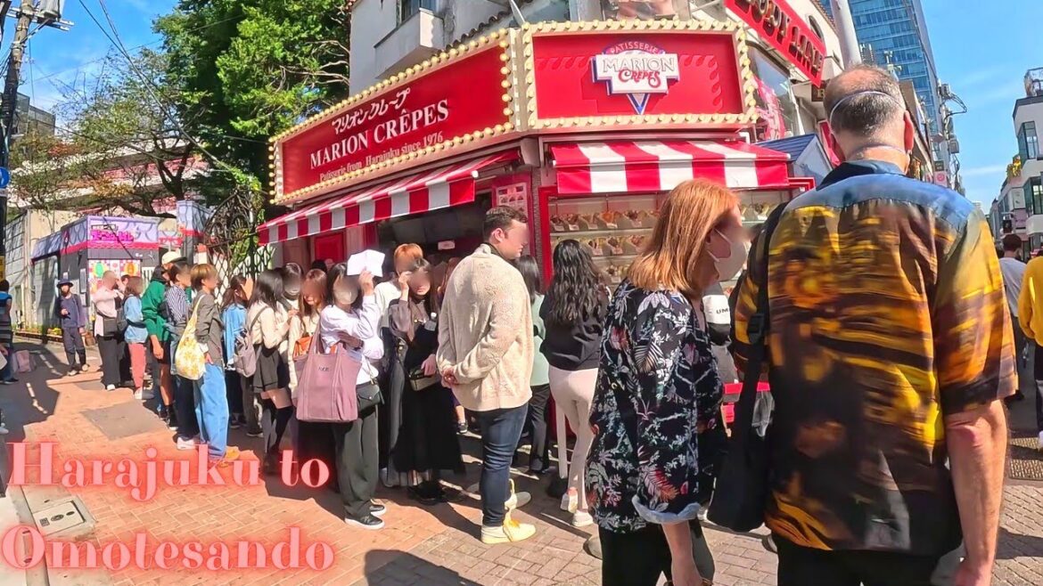 Harajuku to Omotesando Tokyo, in Japan walking tour.【4K】11.2023-8