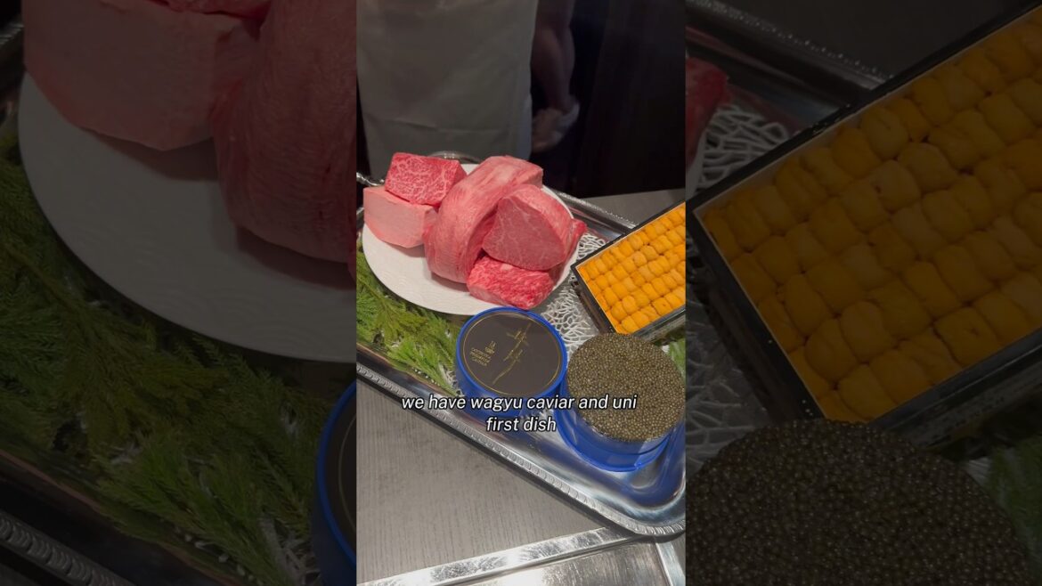 Full Course Meal in Tokyo #shorts