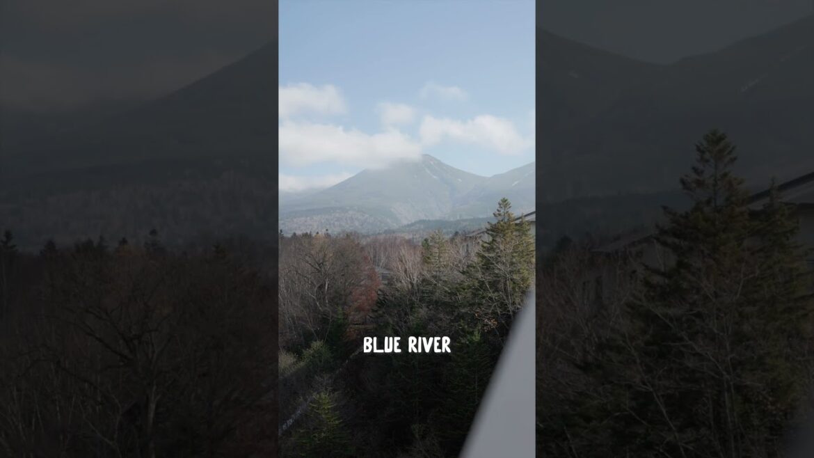 Day 24 – I can’t believe this happened to our drone Day 24 - I can't believe this happened to our drone